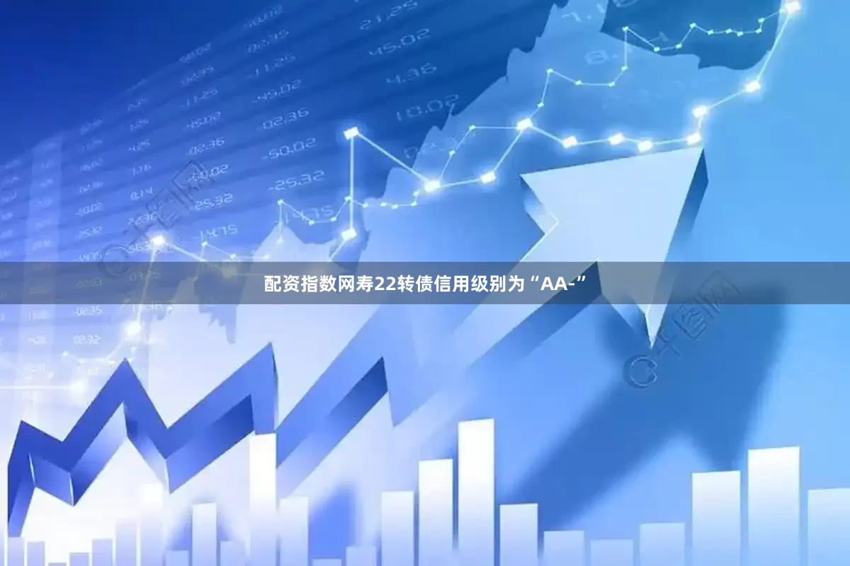 配资指数网寿22转债信用级别为“AA-”