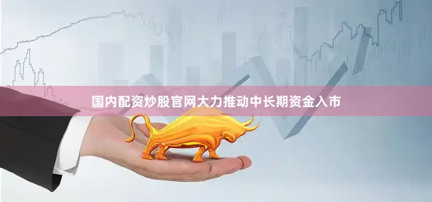 国内配资炒股官网大力推动中长期资金入市