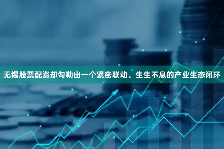 无锡股票配资却勾勒出一个紧密联动、生生不息的产业生态闭环