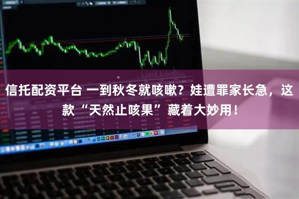 信托配资平台 一到秋冬就咳嗽？娃遭罪家长急，这款 “天然止咳果” 藏着大妙用！