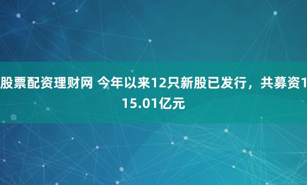 股票配资理财网 今年以来12只新股已发行，共募资115.01亿元