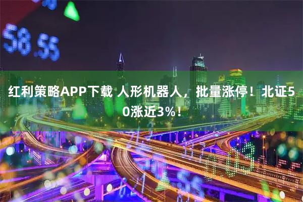 红利策略APP下载 人形机器人，批量涨停！北证50涨近3%！